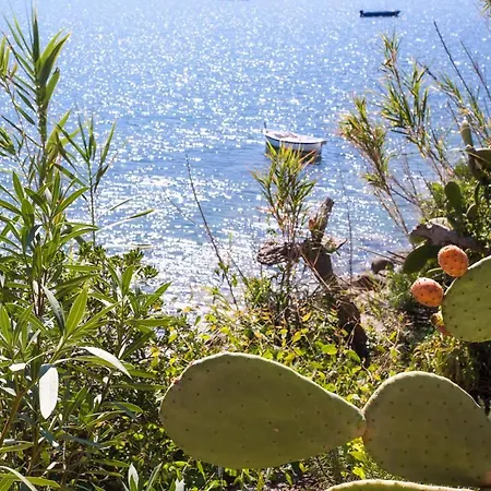 Apartament Bilocale Ostrica *